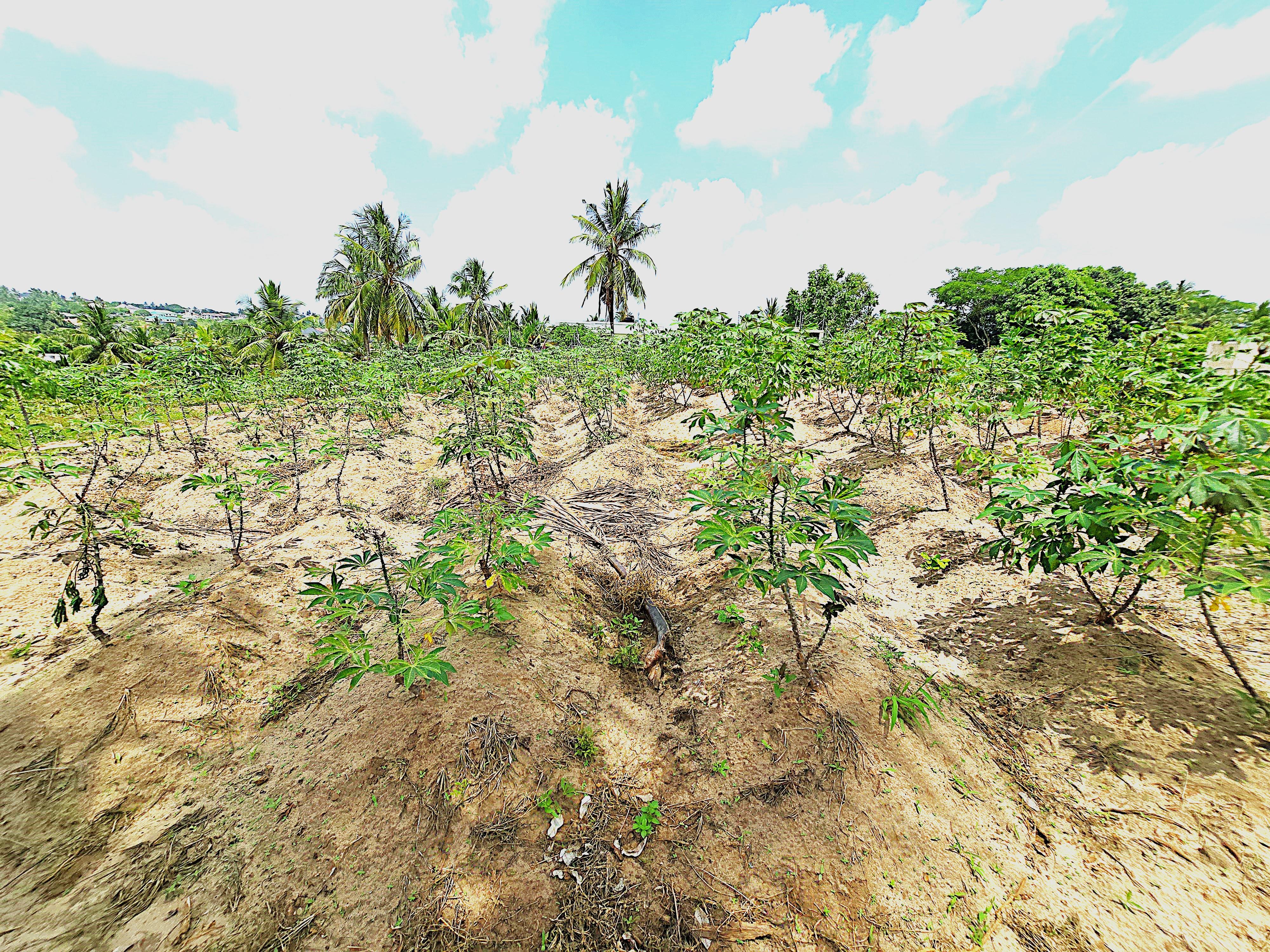 Product image for Plot for Sale in Goba, Dar es salaam