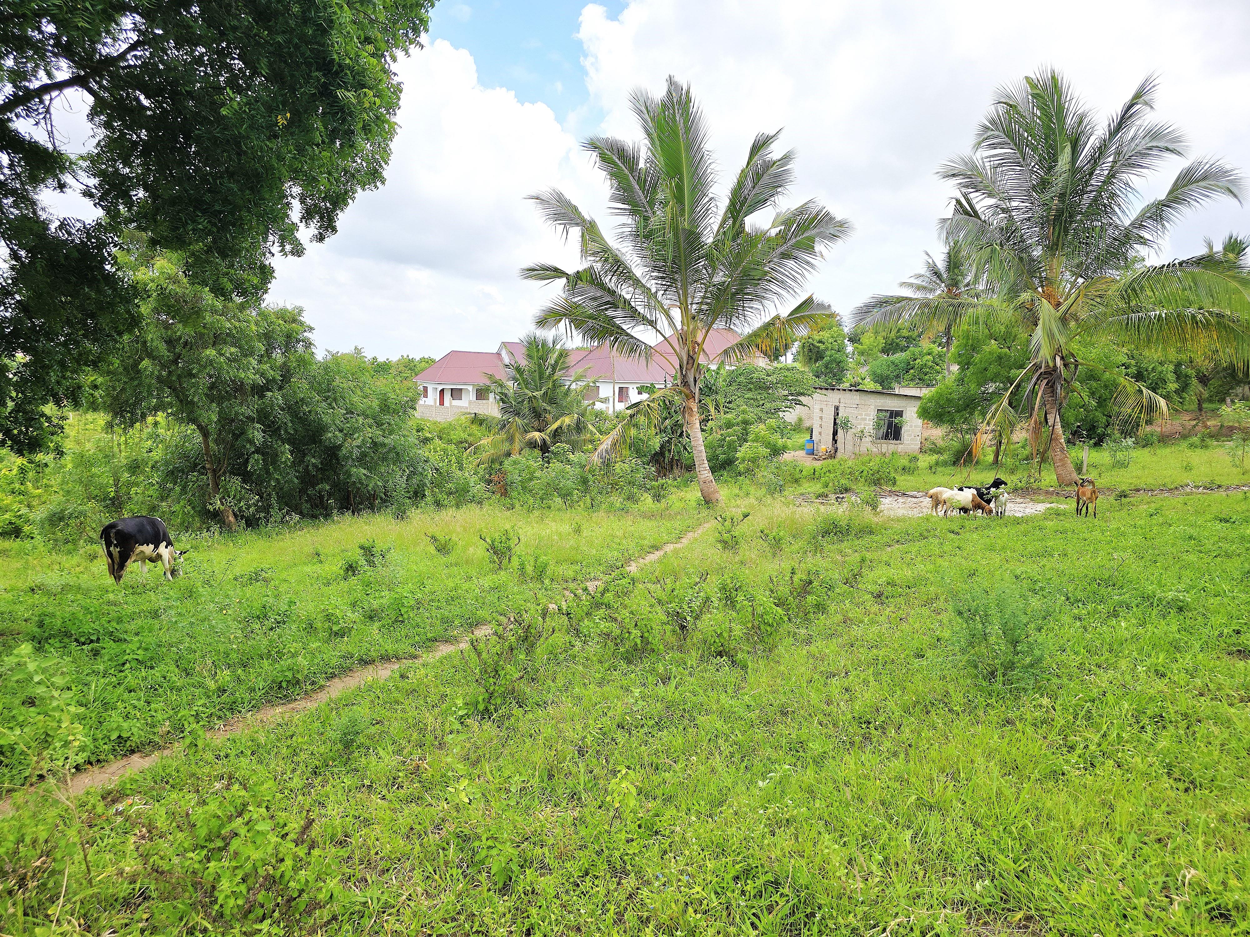 Product image for Plot for Sale in Goba Kulangwa.